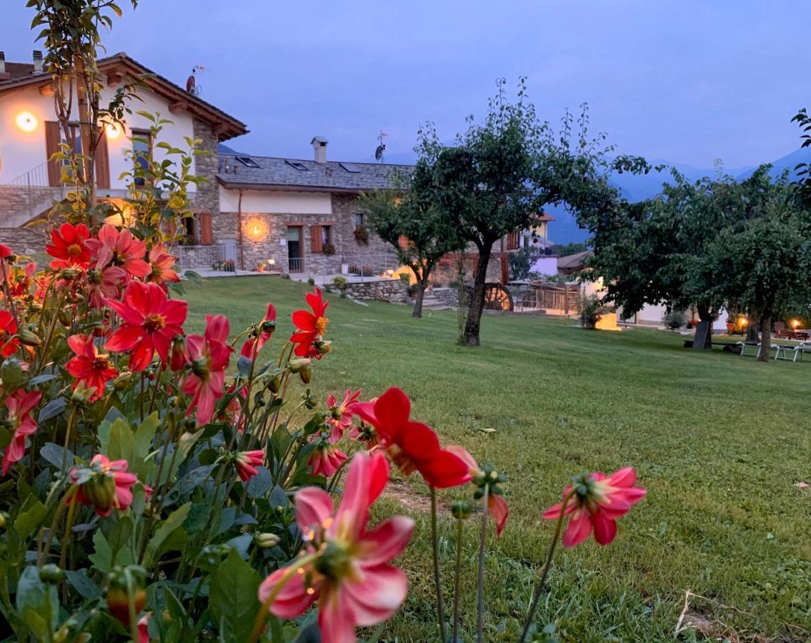 Il Fienile - Lake Como Heritage Home In Molino Maufet Watermill - Lake View Terrace Colico Eksteriør billede